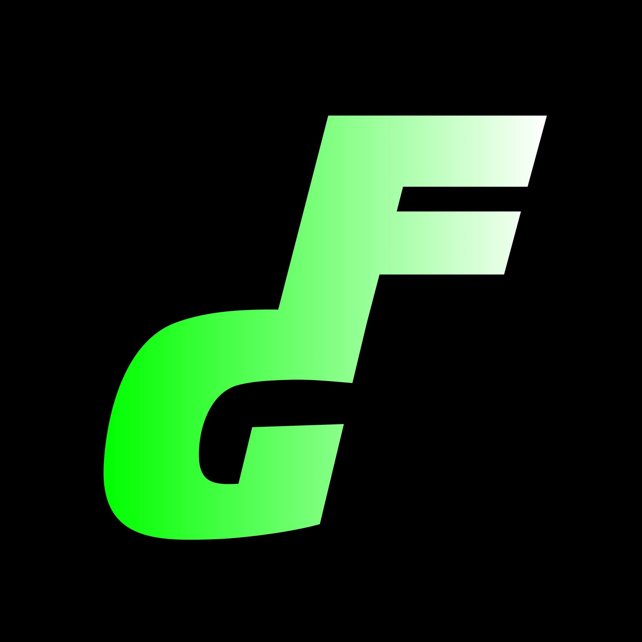 The Fast Garage